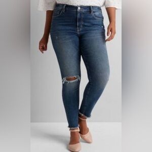 Lane Bryant Signature Fit High-Rise Skinny Jeans-Sz 18
